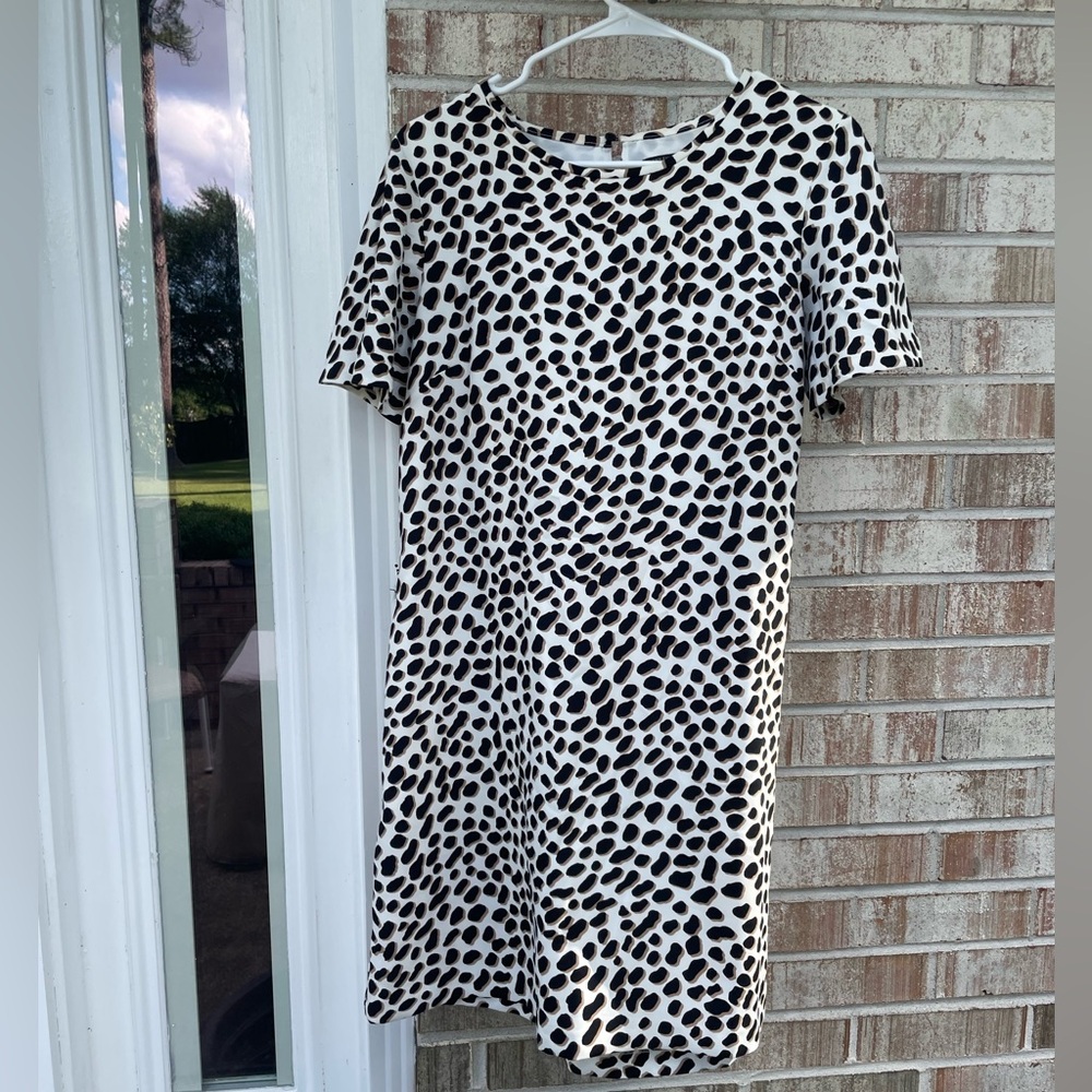 Banana Republic Shift Dress 8P